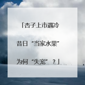 杏子上市遇冷 昔日“当家水果”为何“失宠”？